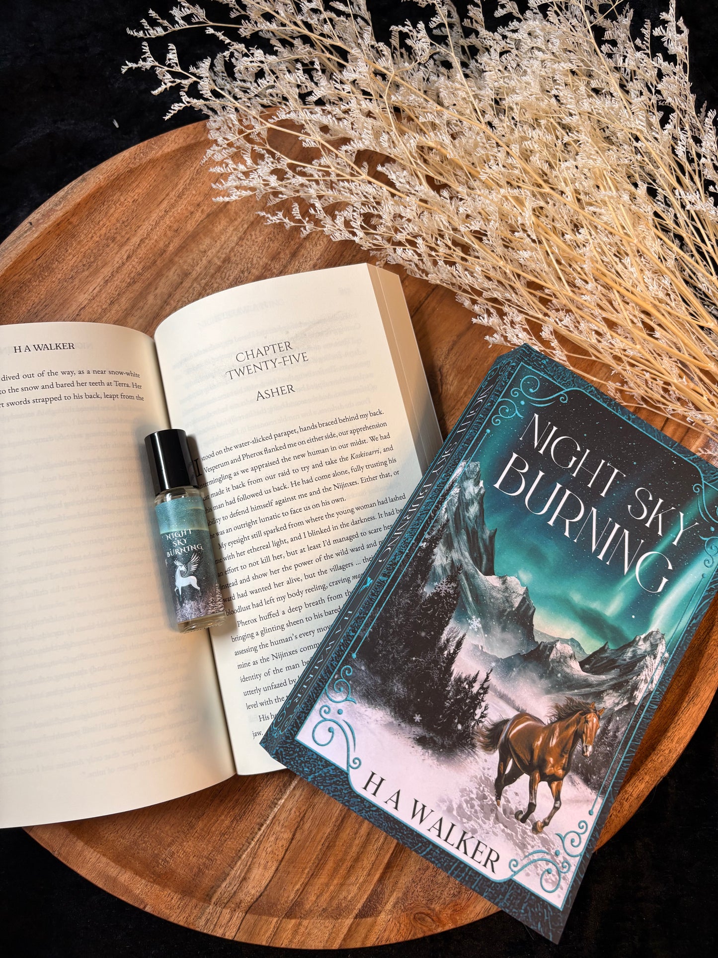 NIGHT SKY BURNING - H A WALKER